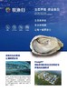37°鲜国产刺身生蚝 商品缩略图1