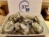 37°鲜国产刺身生蚝 商品缩略图4