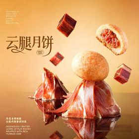 【3个0.75折】云腿月饼*3个
