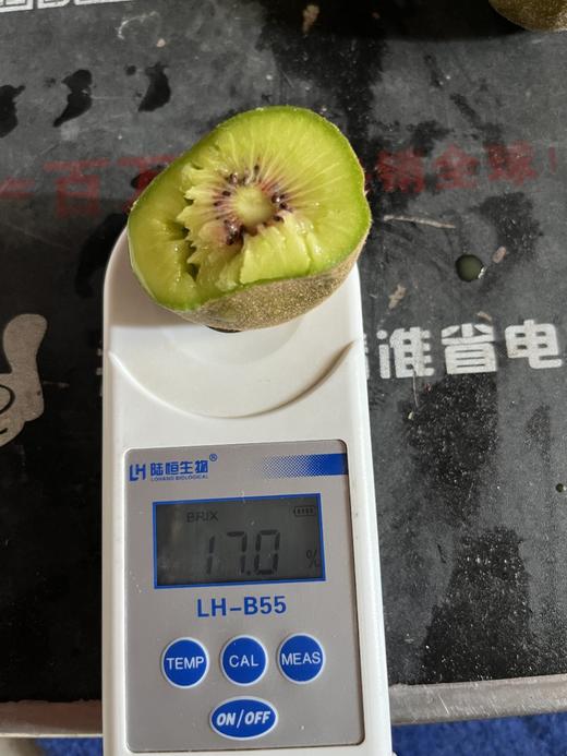 蒲江红心猕猴桃 商品图3
