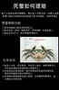 山海记大闸蟹精品蟹卡 商品缩略图14