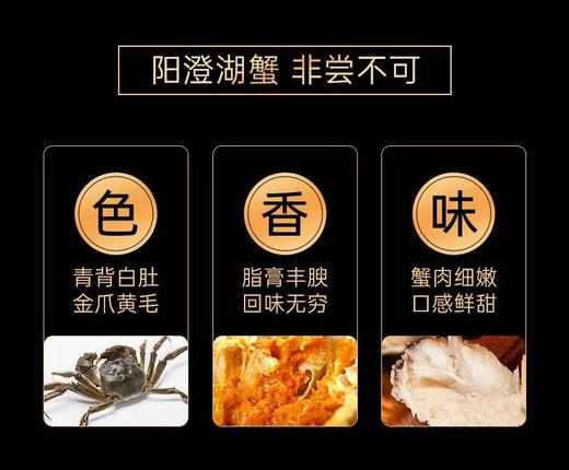 山海记大闸蟹精品蟹卡 商品图11