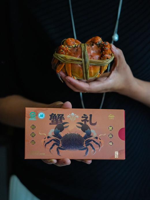 山海记大闸蟹精品蟹卡 商品图7