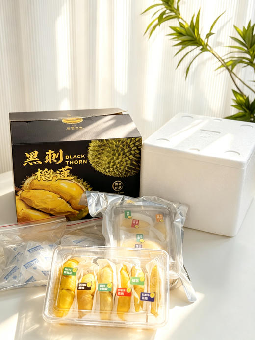 马来西亚榴莲宝藏盲盒 商品图1