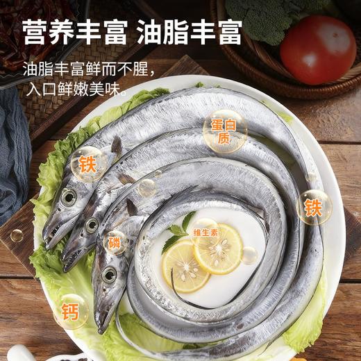 【社群接龙】冰鲜大带鱼（2斤1-2条） 13954 商品图0