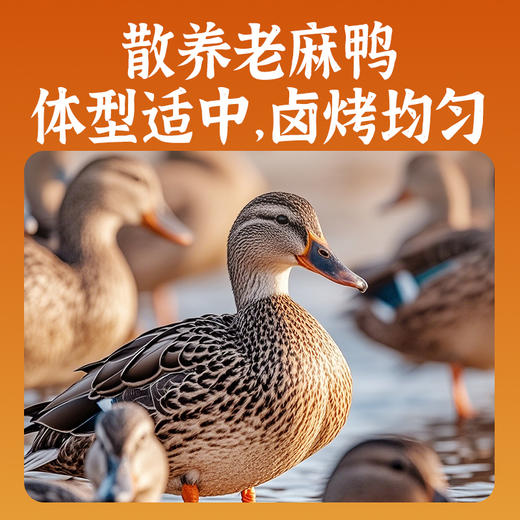 【湖南特产】黑色经典长沙酱板鸭320g 酱香辣味，撕着吃超过瘾 商品图4