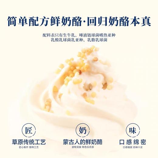 蒙古奶嚼口 鲜奶酪80g 商品图5