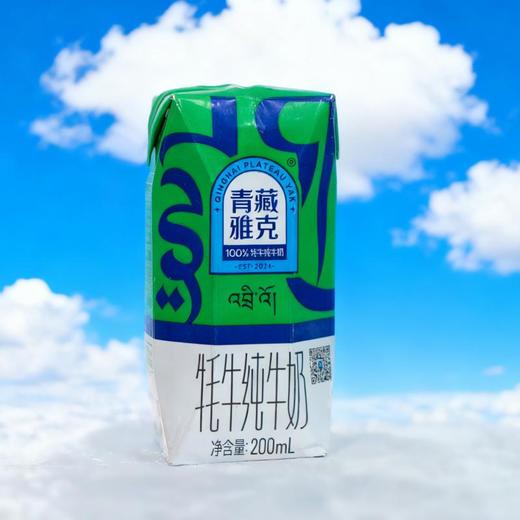青藏雅克牦牛纯牛奶礼盒 商品图2
