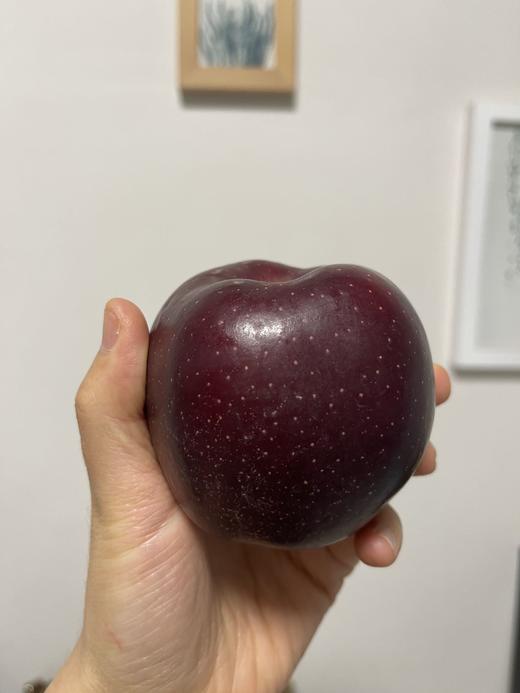 云南昭通·黑卡苹果（云南乡村振兴） 商品图4