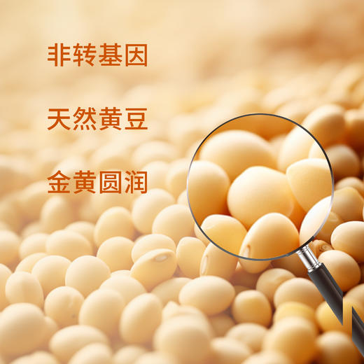 健康非遗南溪豆干组合 到手4袋 云上布拉豆干 非转基因大豆 适合追剧加班活动出游零食 商品图3