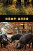 伊比利亚黑猪肉 商品缩略图4