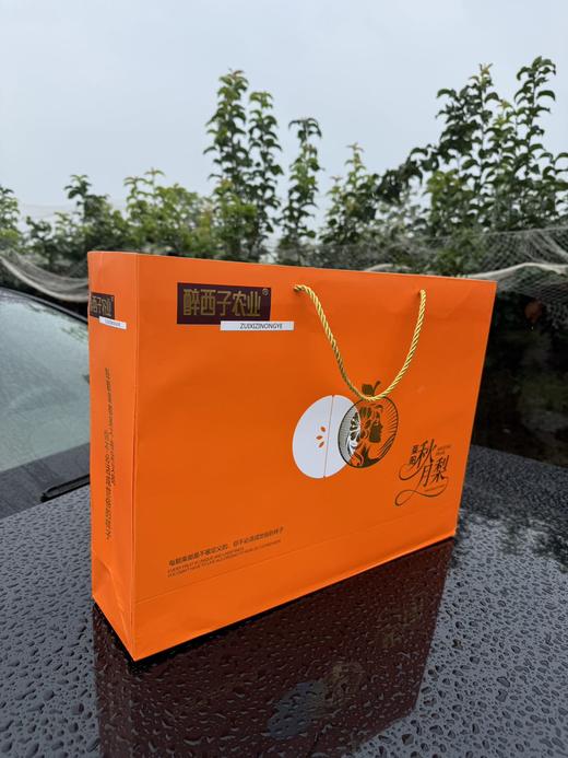 醉西子农业｜正宗莱阳秋月梨 商品图9