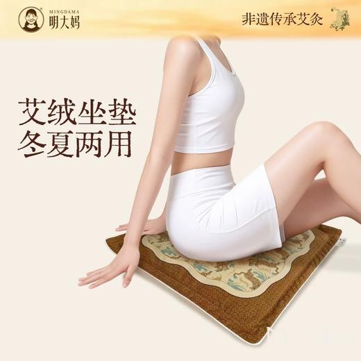 明大妈电加热艾灸坐垫艾草艾绒发热垫冬寒护腰臀蒲团发热仪坐灸垫 商品图0