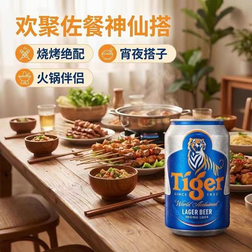 泰哥牌（虎牌）啤酒  原产国：荷兰 酒精度：4.7° 麦芽度：11.2° 商品图1