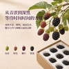 正安甄选 x 日旬之莓 云南夜露黑莓 礼盒款【顺丰速运】鲜食覆盆子「本草通玄」黑色肾满秋食 精力元气秀发 黑莓送礼多规格 商品缩略图3