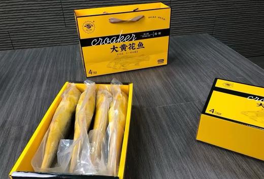 国信黄花鱼 商品图0