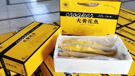 国信黄花鱼 商品图3