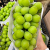 半山阳光玫瑰1000g/份 商品缩略图0