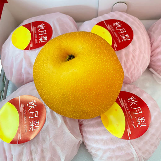 【礼盒装】秋月梨约2.4kg/件 （梨肉嫩白无渣 细嫩润甜） 商品图1