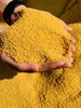 麦子树古法火山灰小米 500g/桶 商品缩略图1