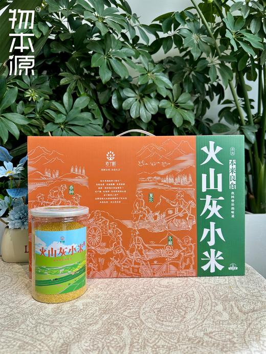 麦子树古法火山灰小米 500g/桶 商品图0