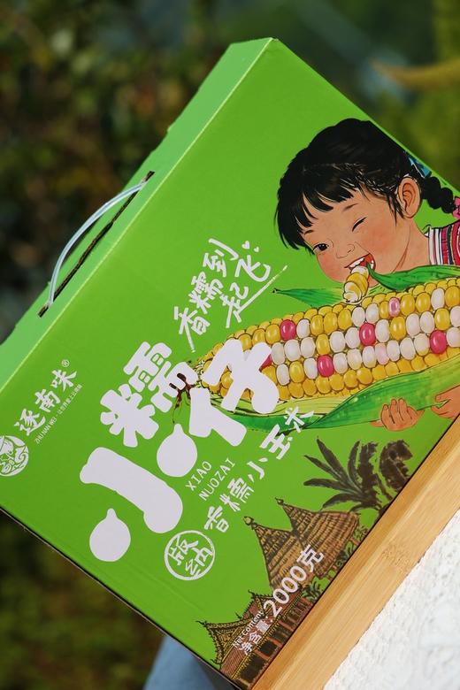 西双版纳香糯小玉米 商品图1