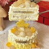 桂香浮月 商品缩略图2