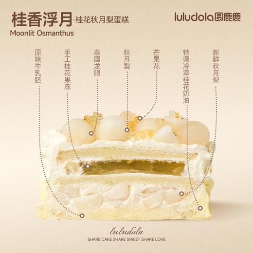 桂香浮月 商品图1