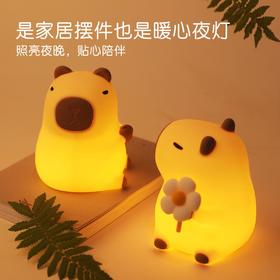 聚火 卡皮巴拉花朵款小夜灯 拍拍灯