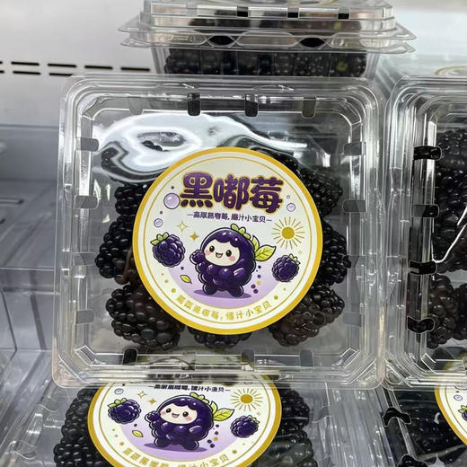 黑树莓（125g盒装） 商品图1
