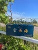 新疆黄金西梅 商品缩略图8