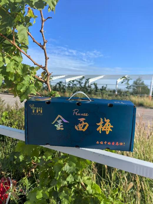 新疆黄金西梅 商品图8