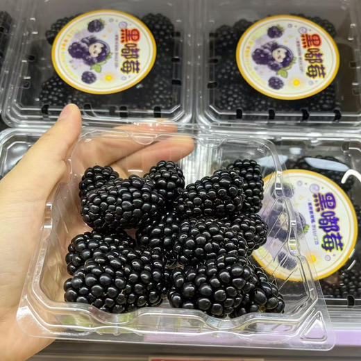 黑树莓（125g盒装） 商品图3