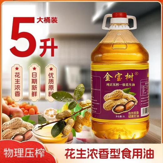 【乡村振兴】广东平远 金宝树纯花生油 （压榨一级）5L/瓶 商品图0