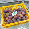 新疆西梅（小礼盒）1kg装 商品缩略图0
