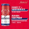 百威无醇啤酒 酒精度：0.05° 麦芽度：3.5° 商品缩略图2