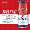 百威无醇啤酒 酒精度：0.05° 麦芽度：3.5° 商品缩略图1