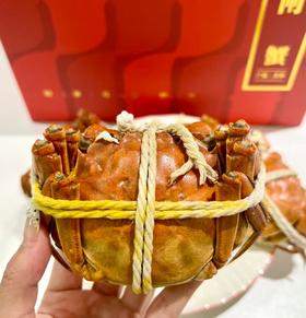 精挑精品阳澄湖母蟹 10只装