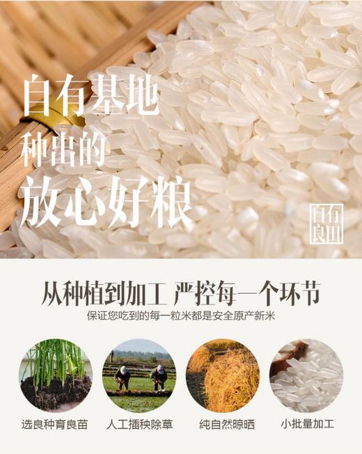 物本源有机五常大米5kg 商品图3