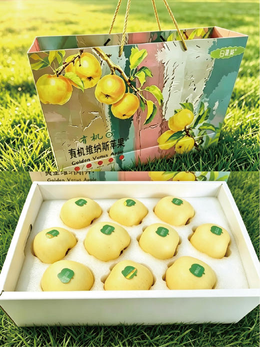 有机维纳斯黄金苹果 10枚礼盒装 商品图3