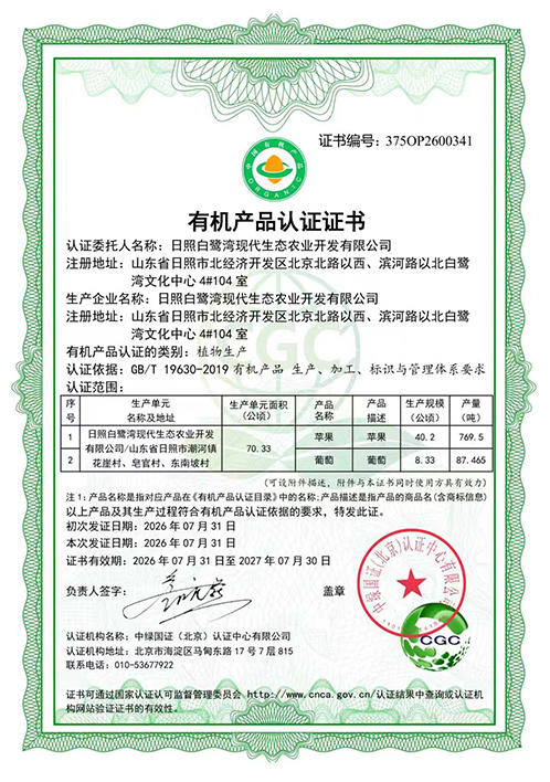 有机维纳斯黄金苹果 10枚礼盒装 商品图2