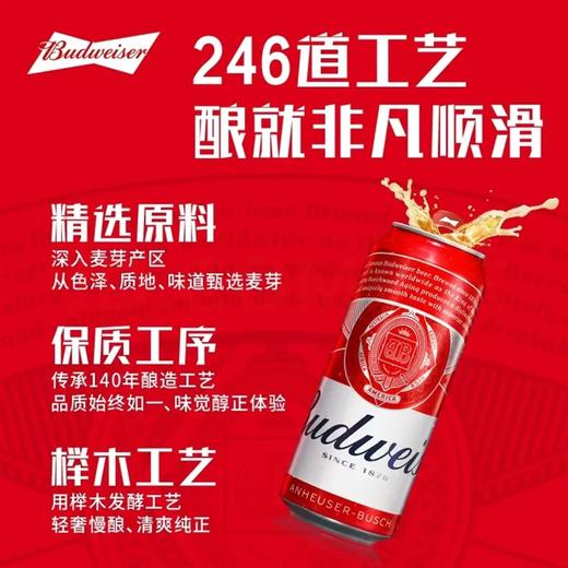 百威啤酒（大满罐） 酒精度：3.6° 麦芽度：9.7° 商品图2