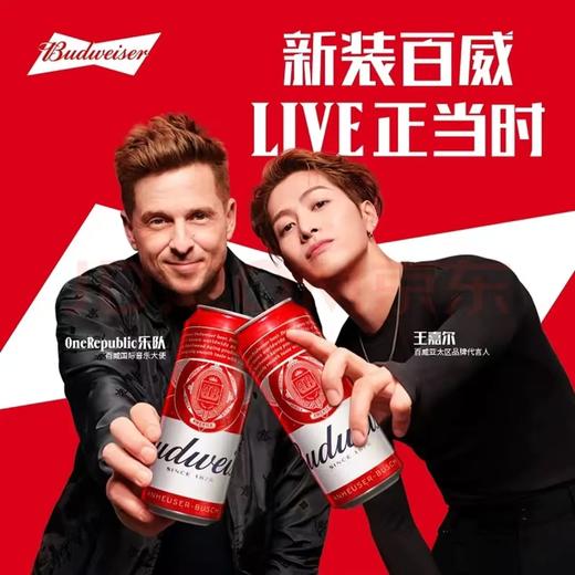 百威啤酒（大满罐） 酒精度：3.6° 麦芽度：9.7° 商品图3