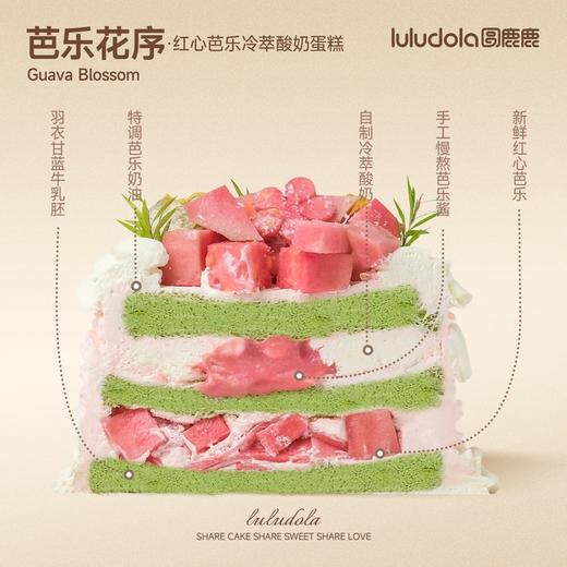 芭乐花序 商品图1