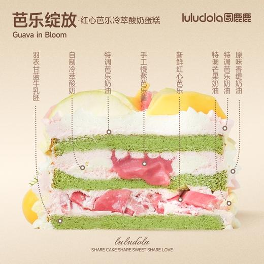 芭乐绽放 商品图1