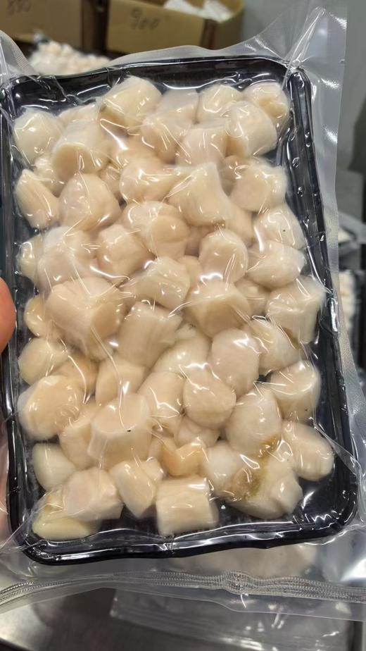 原浆扇贝丁 商品图7