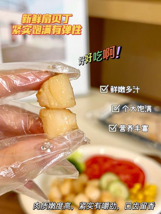 原浆扇贝丁 商品图4