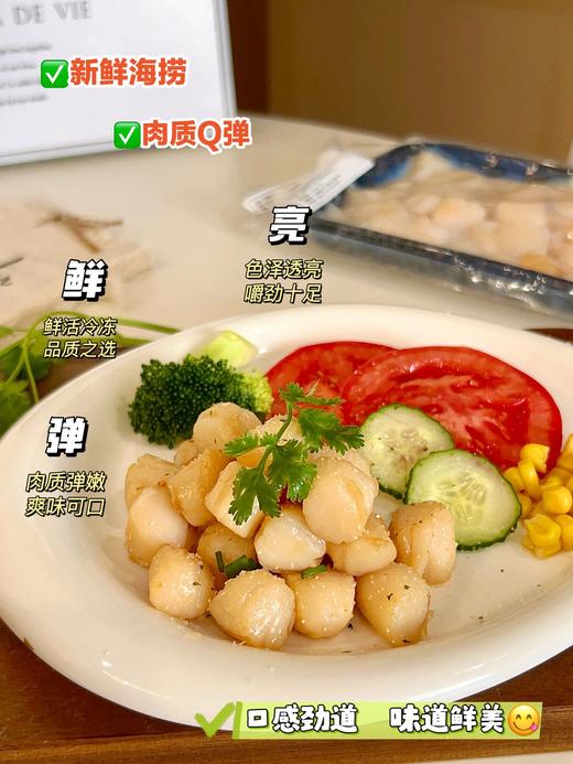 原浆扇贝丁 商品图3