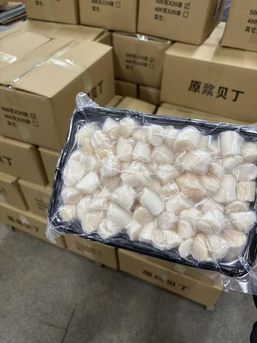 原浆扇贝丁 商品图6