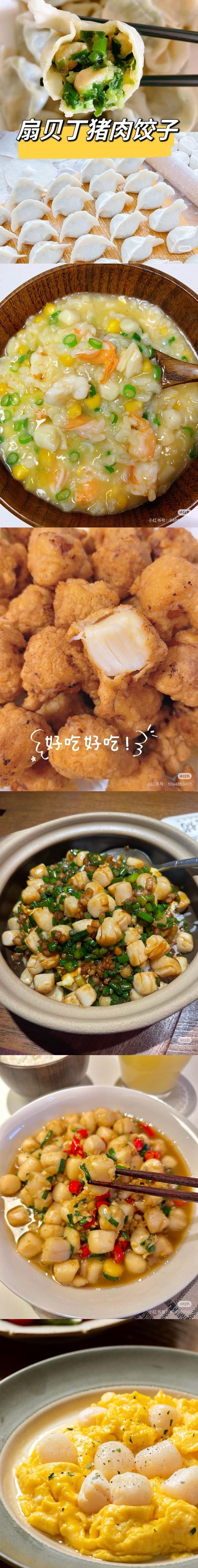 原浆扇贝丁 商品图5